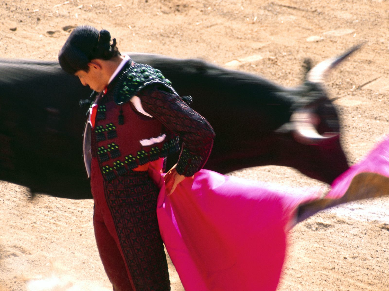 Bull Fighter HD+1600×900, UXGA 1600×1200 – HD Wallpapers Backgrounds Desktop, iphone & Android Free Download